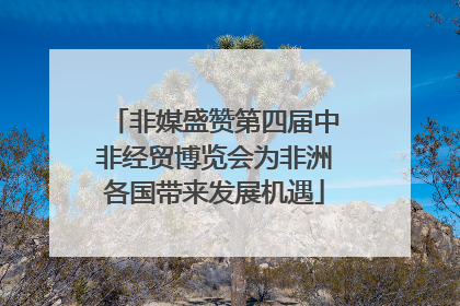 非媒盛赞第四届中非经贸博览会为非洲各国带来发展机遇