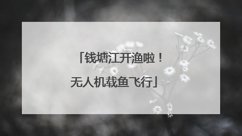 钱塘江开渔啦！无人机载鱼飞行