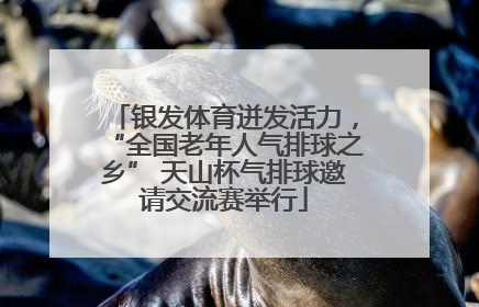 银发体育迸发活力，“全国老年人气排球之乡” 天山杯气排球邀请交流赛举行