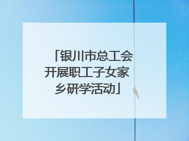 银川市总工会开展职工子女家乡研学活动