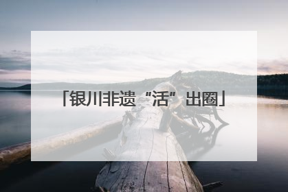 银川非遗“活”出圈