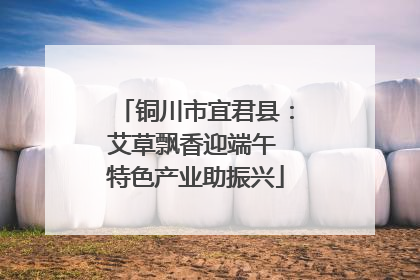 铜川市宜君县：艾草飘香迎端午 特色产业助振兴