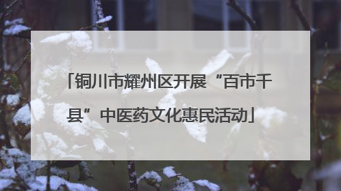 铜川市耀州区开展“百市千县”中医药文化惠民活动