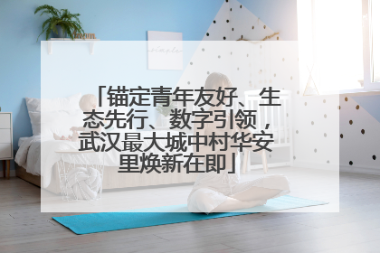 锚定青年友好、生态先行、数字引领，武汉最大城中村华安里焕新在即