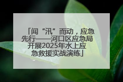 闻“汛”而动，应急先行——河口区应急局开展2025年水上应急救援实战演练