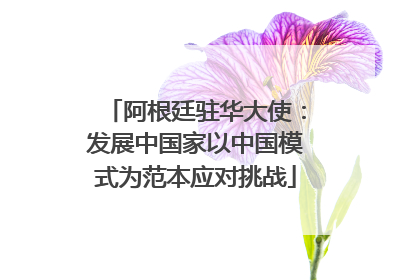 阿根廷驻华大使：发展中国家以中国模式为范本应对挑战
