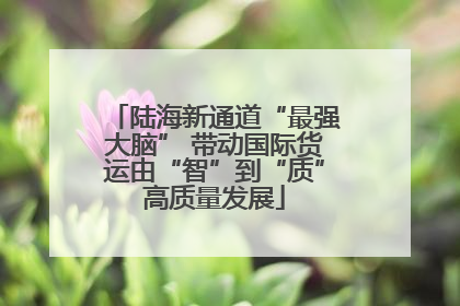 陆海新通道“最强大脑” 带动国际货运由“智”到“质”高质量发展