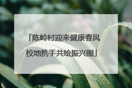 陈岭村迎来健康春风 校地携手共绘振兴图