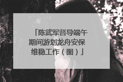 陈武军督导端午期间游划龙舟安保维稳工作（图）