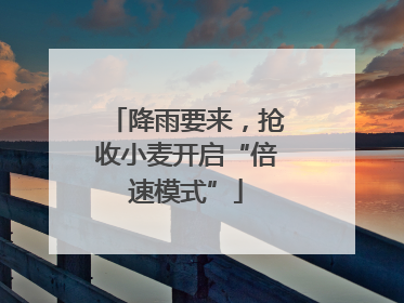 降雨要来，抢收小麦开启“倍速模式”