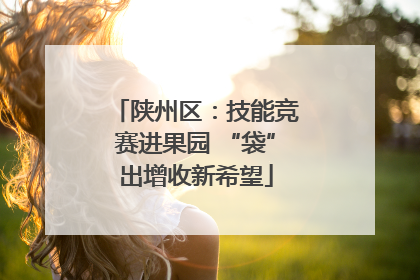 陕州区：技能竞赛进果园 “袋”出增收新希望