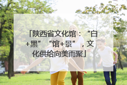 陕西省文化馆：“白+黑”“馆+景”，文化供给向美而聚