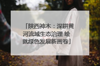 陕西神木：深耕黄河流域生态治理 绘就绿色发展新画卷