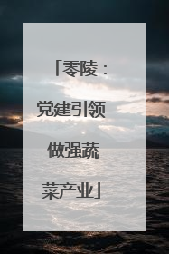 零陵：党建引领 做强蔬菜产业