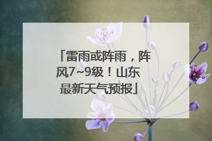 雷雨或阵雨，阵风7~9级！山东最新天气预报