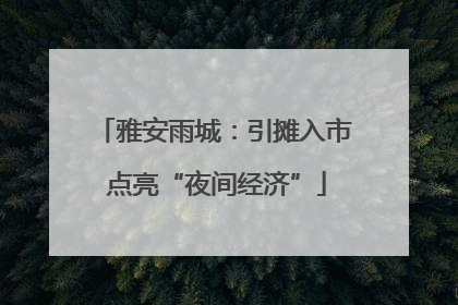 雅安雨城：引摊入市 点亮“夜间经济”