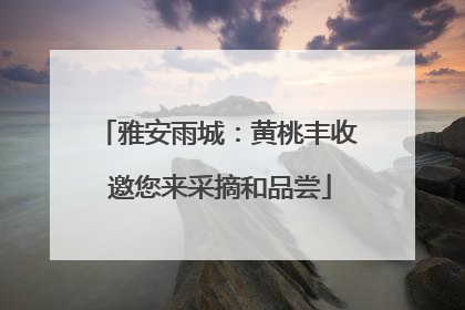 雅安雨城：黄桃丰收 邀您来采摘和品尝