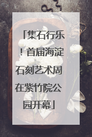 集石行乐！首届海淀石刻艺术周在紫竹院公园开幕