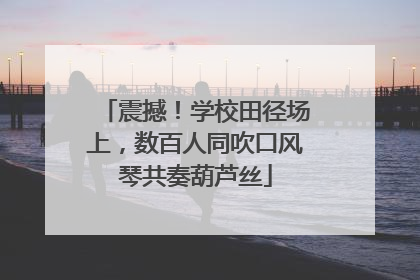 震撼！学校田径场上，数百人同吹口风琴共奏葫芦丝