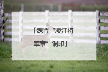 魏晋“凌江将军章”铜印