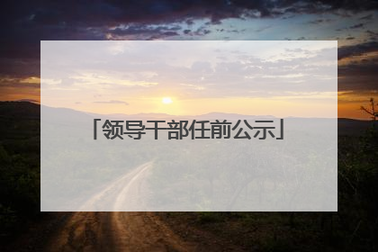 领导干部任前公示