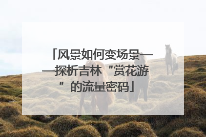 风景如何变场景——探析吉林“赏花游”的流量密码