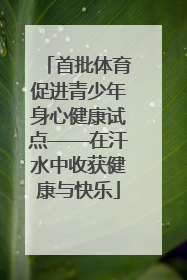 首批体育促进青少年身心健康试点——在汗水中收获健康与快乐