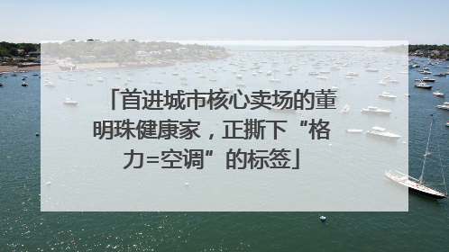 首进城市核心卖场的董明珠健康家，正撕下“格力=空调”的标签