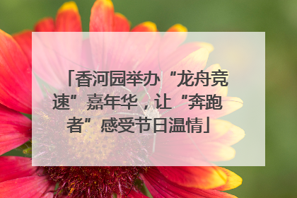香河园举办“龙舟竞速”嘉年华，让“奔跑者”感受节日温情