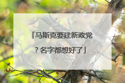 马斯克要建新政党？名字都想好了