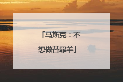 马斯克：不想做替罪羊