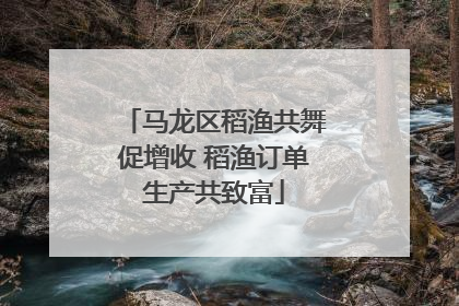 马龙区稻渔共舞促增收 稻渔订单生产共致富