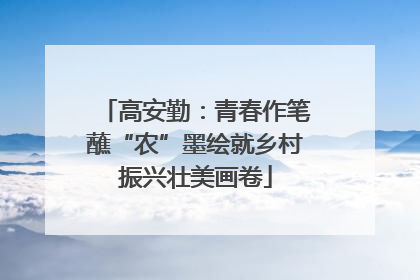 高安勤：青春作笔蘸“农”墨绘就乡村振兴壮美画卷