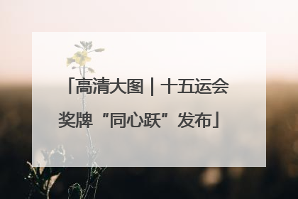 高清大图｜十五运会奖牌“同心跃”发布