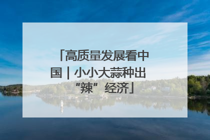 高质量发展看中国｜小小大蒜种出“辣”经济