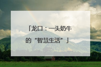 龙口：一头奶牛的“智慧生活”