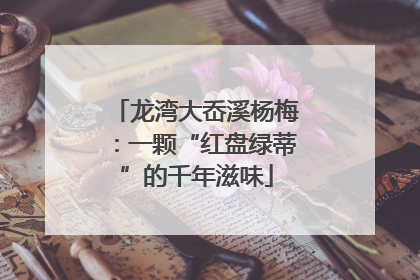 龙湾大岙溪杨梅：一颗“红盘绿蒂”的千年滋味