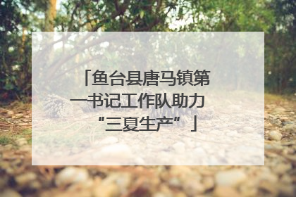 鱼台县唐马镇第一书记工作队助力“三夏生产”
