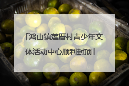 鸿山镇莲厝村青少年文体活动中心顺利封顶