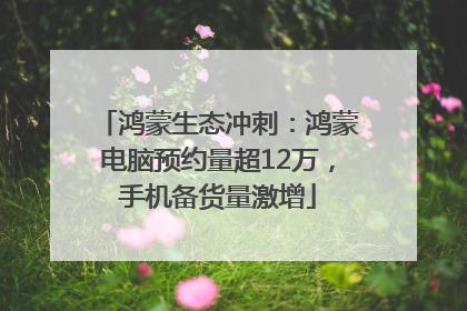 鸿蒙生态冲刺：鸿蒙电脑预约量超12万，手机备货量激增