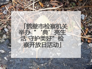鹤壁市检察机关举办“‘典’亮生活 守护美好”检察开放日活动
