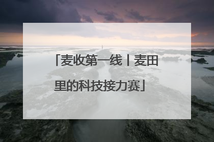 麦收第一线丨麦田里的科技接力赛
