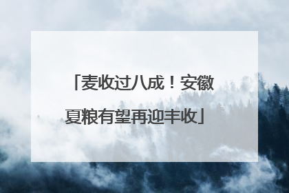 麦收过八成！安徽夏粮有望再迎丰收