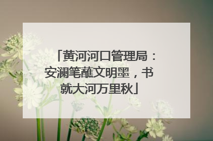 黄河河口管理局：安澜笔蘸文明墨，书就大河万里秋