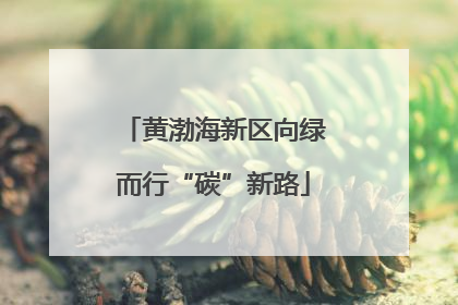 黄渤海新区向绿而行“碳”新路
