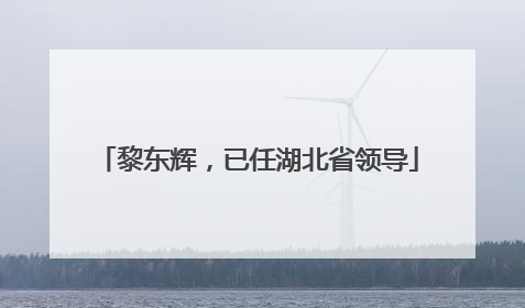 黎东辉，已任湖北省领导