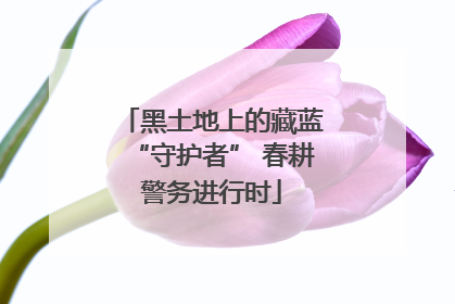 黑土地上的藏蓝“守护者” 春耕警务进行时