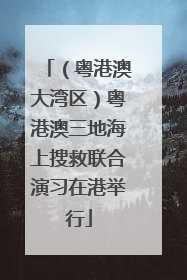 （粤港澳大湾区）粤港澳三地海上搜救联合演习在港举行
