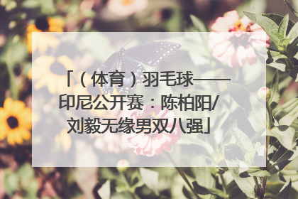 （体育）羽毛球——印尼公开赛：陈柏阳/刘毅无缘男双八强