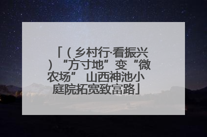 （乡村行·看振兴）“方寸地”变“微农场” 山西神池小庭院拓宽致富路